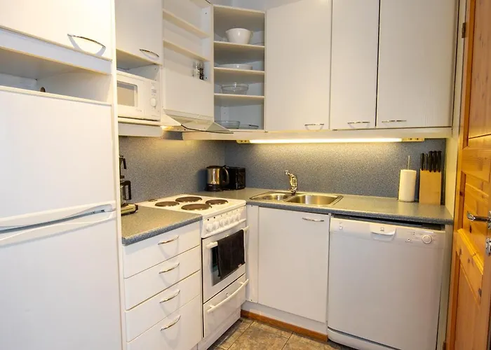 Center Alpine B4 Levi